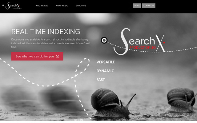 SearchX